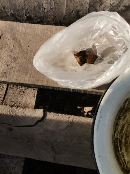 В Тяжинском округе в рамках операции «Мак» полицейские задержали с поличным изготовителя экстракта маковой соломки
